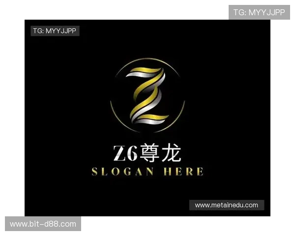 尊龙z6线上手机版充值方式与安全保障措施，保障玩家资金安全与便捷充值体验